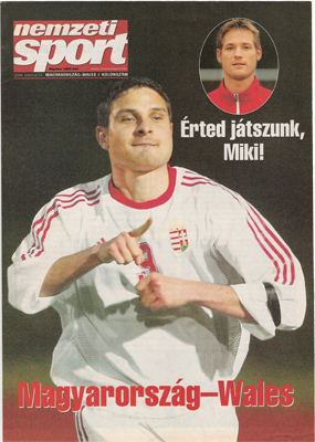 Hungary v Wales: 31 March 2004