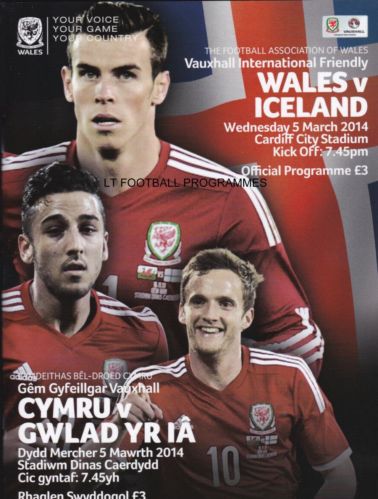 Wales v Iceland: 16 November 2013