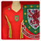 from walesmatchshirts.com