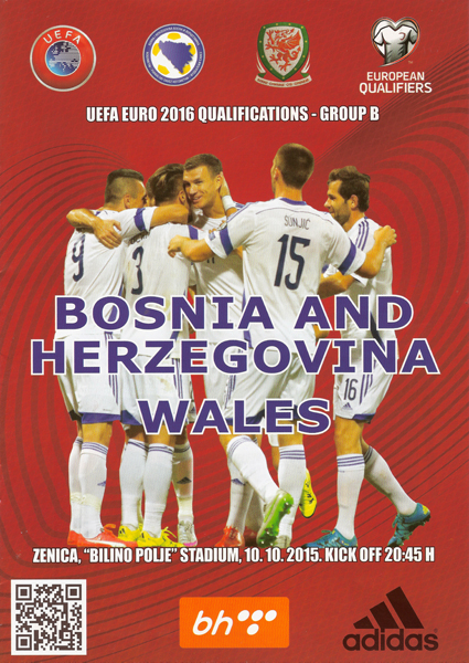 Bosnia-Herzegovina v Wales: 10 October 2015